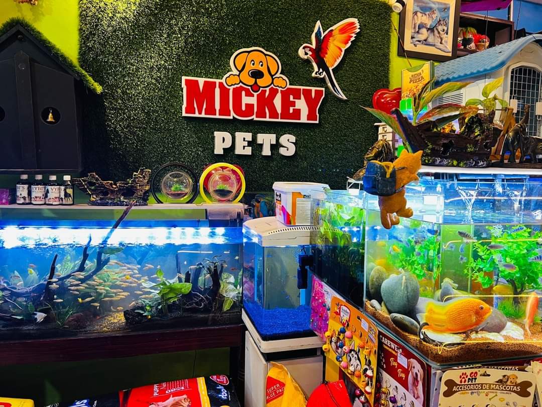 MICKEY PETS PATHANAMTHITTA